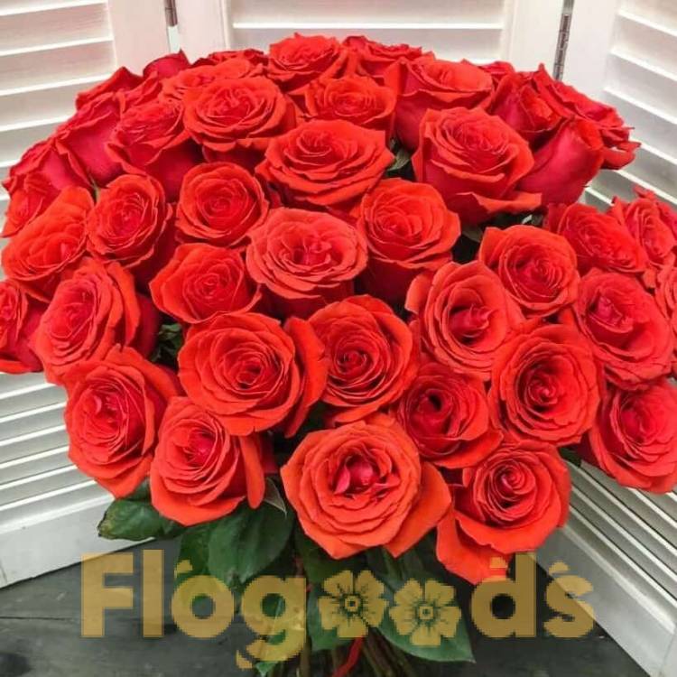 51 красная роза за 19 500 руб.